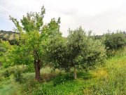 Kastellos bei Kournas Kreta, Kastellos: Grundstück mit Meerblick zu verkaufen Grundstück kaufen